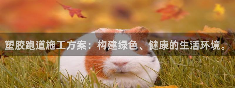 红足i世足球手机网:塑胶跑道施工方案:构建绿色、健康的生活环境。