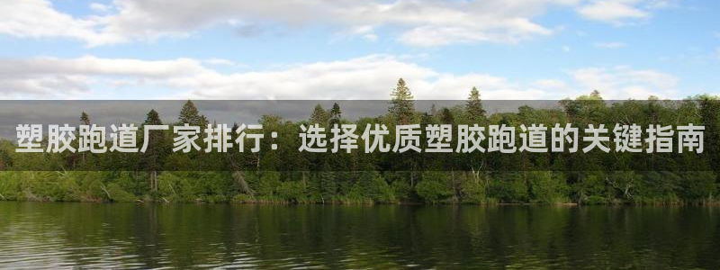 66814红足一66814世：塑胶跑道厂家排行：选择优质塑胶跑道的关键指南