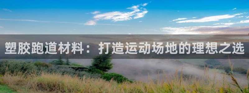 红足1世手足球比分：塑胶跑道材料：打造运动场地的理想之选