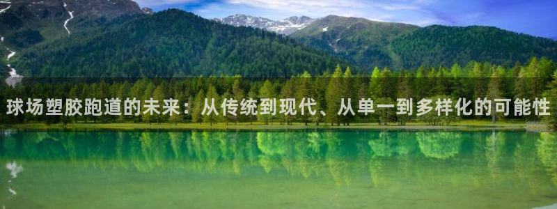 红足一1世：球场塑胶跑道的未来：从传统到现代、从单一到多样化的可能性