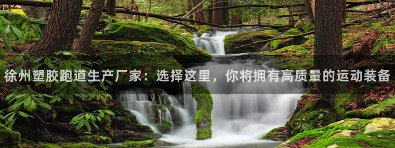 红足1世足球比分网址：徐州塑胶跑道生产厂家：选择这里，你将拥有高质量的运动装备