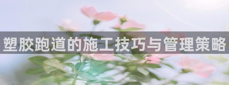 百度红足一1使用说明：塑胶跑道的施工技巧与管理策略