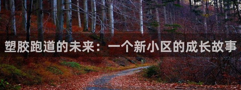 红足1世手足球比分：塑胶跑道的未来：一个新小区的成长故事