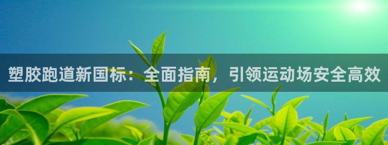 红足1一世开奖版：塑胶跑道新国标：全面指南，引领运动场安全高效