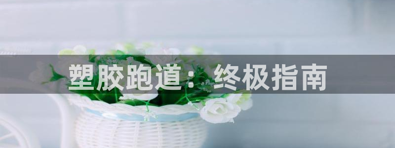 红足1世足球比分：塑胶跑道：终极指南