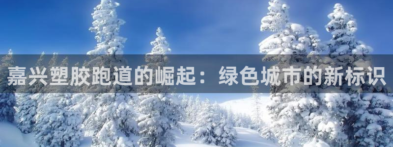 红足一1世即时比分：嘉兴塑胶跑道的崛起：绿色城市的新标识