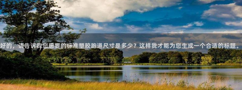 百度红足一1视频在线观看：好的，请告诉我您想要的标准塑胶跑道尺寸是多少？这样我才能为您生成一个合适的标题。