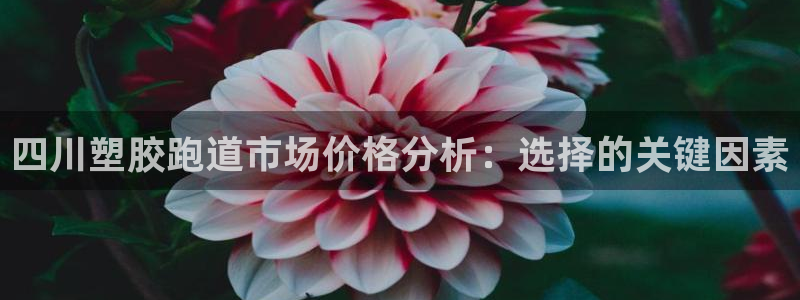 红足一1世皇冠登录：四川塑胶跑道市场价格分析：选择的关键因素