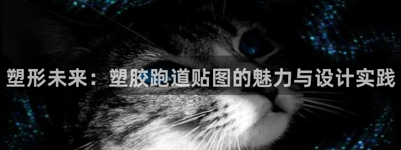 百度红足一1是为什么：塑形未来：塑胶跑道贴图的魅力与设计实践