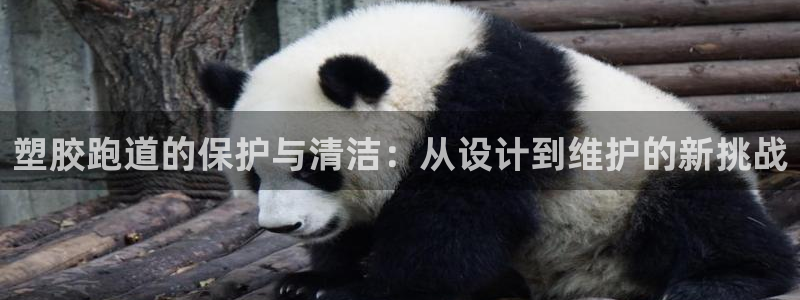 红足一1世手机版赛果：塑胶跑道的保护与清洁：从设计到维护的新挑战