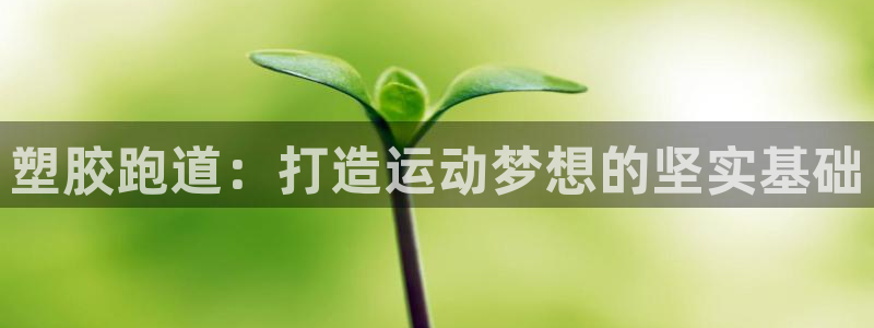 红足一：塑胶跑道：打造运动梦想的坚实基础