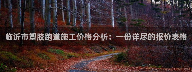 红足1世足球：临沂市塑胶跑道施工价格分析：一份详尽的报价表格