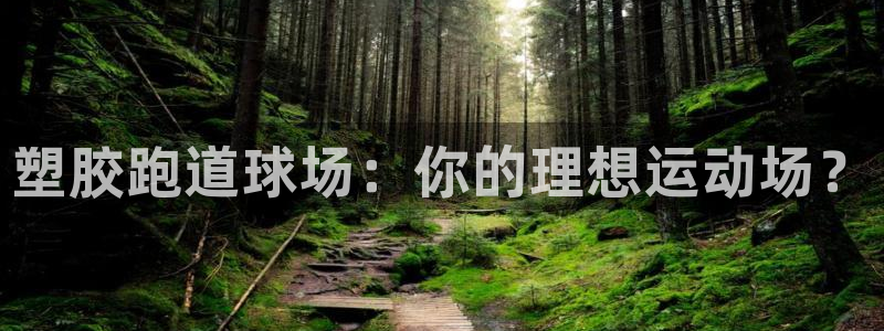 红足1世1站2站管理网：塑胶跑道球场：你的理想运动场？