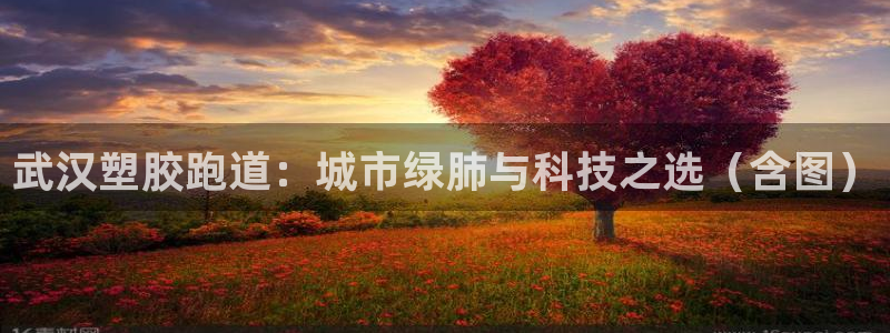 红足1世足球比分 localhost：武汉塑胶跑道：城市绿肺与科技之选（含图）