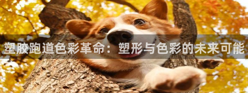 红足一1世66814：塑胶跑道色彩革命：塑形与色彩的未来可能