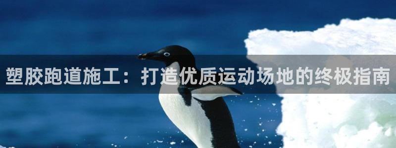 红足一1世皇冠地址：塑胶跑道施工：打造优质运动场地的终极指南